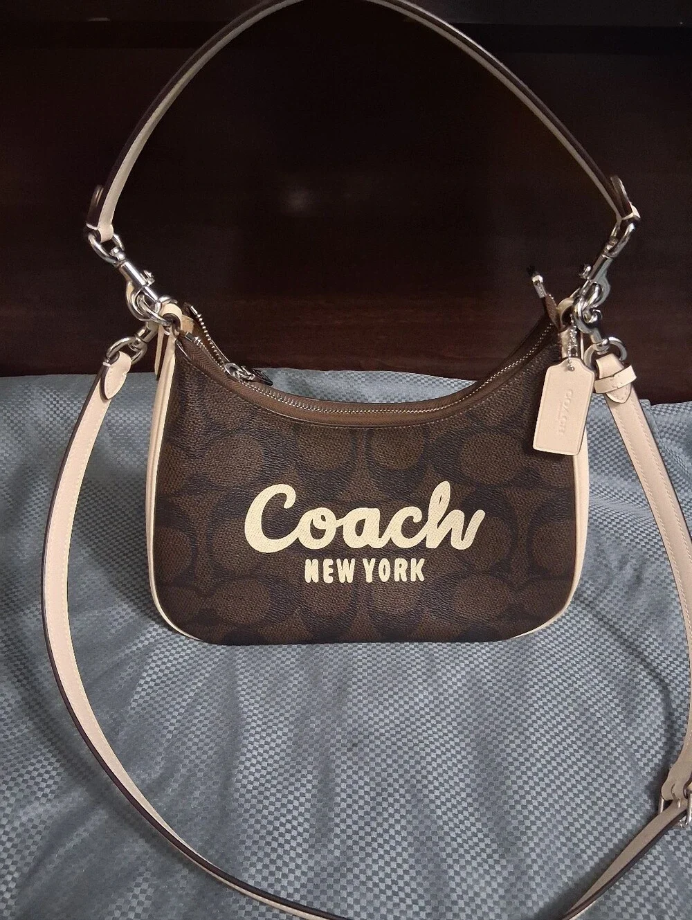 Coach Teri Hobo in Signature Canvas